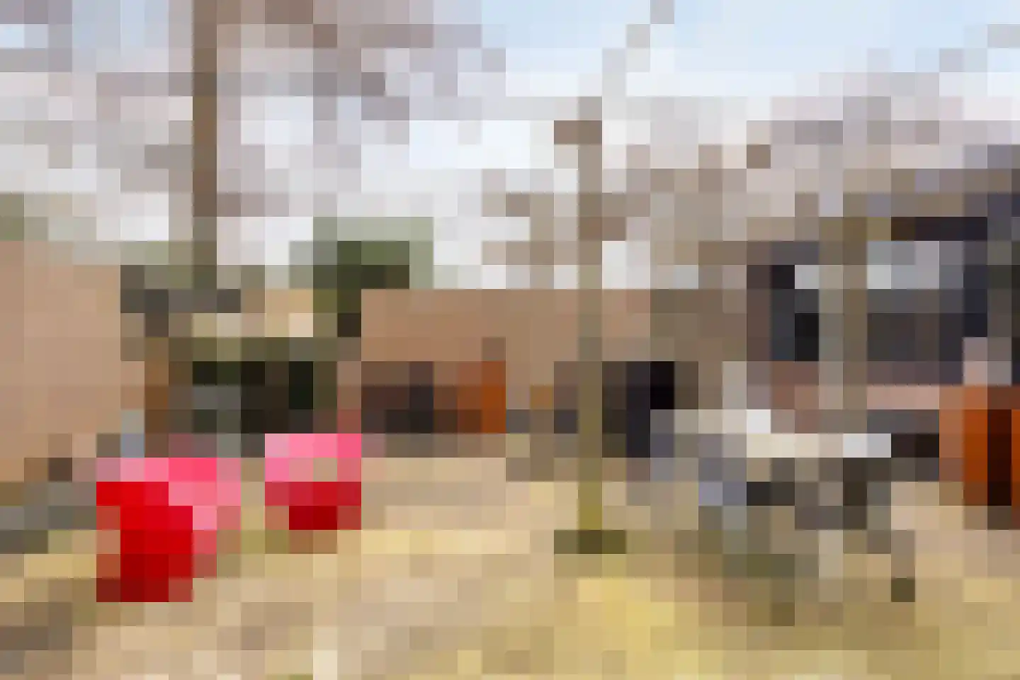Willem Alexanderlaan 18 Poortugaal thumbnail 37
