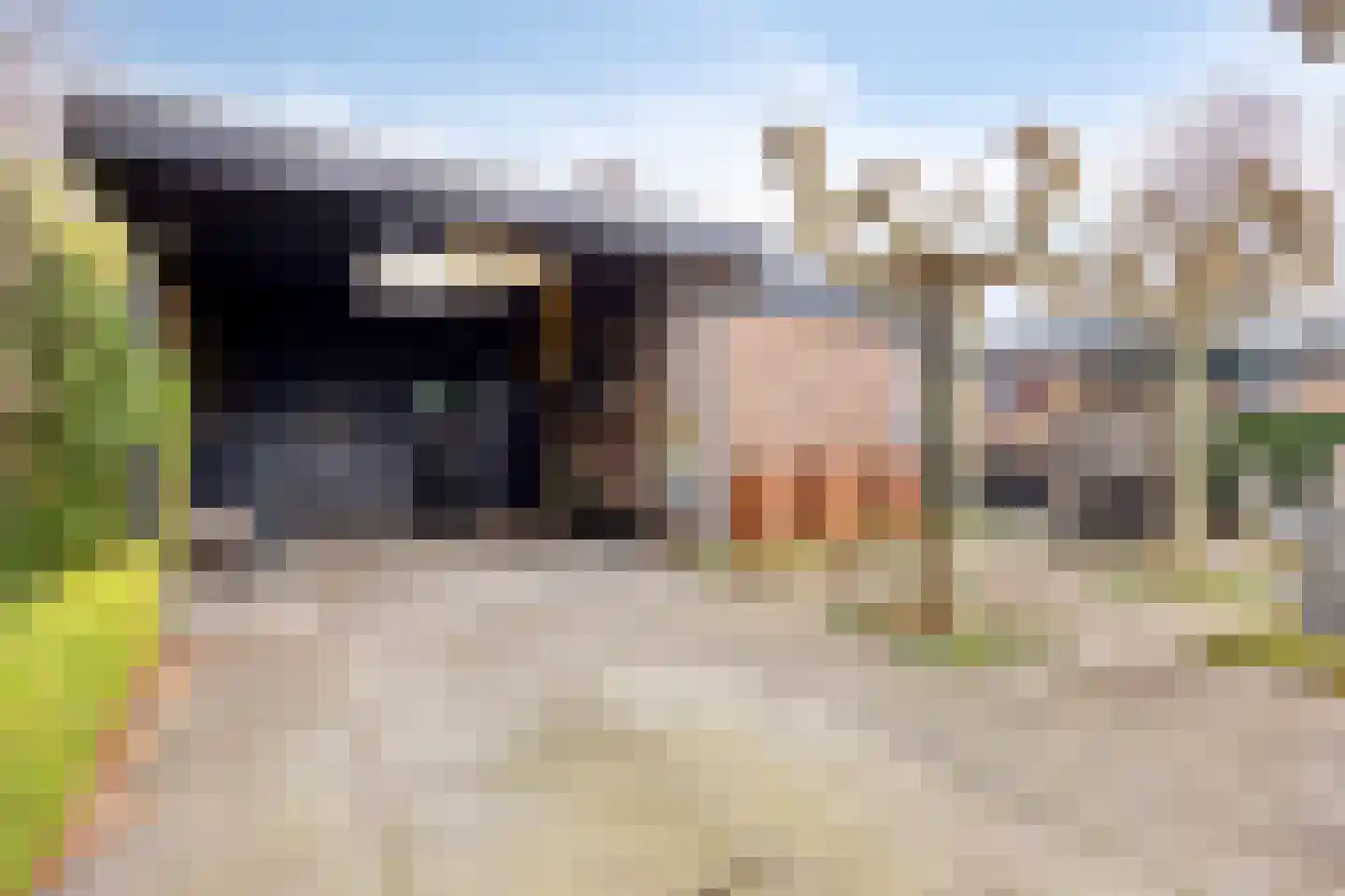 Willem Alexanderlaan 18 Poortugaal thumbnail 4