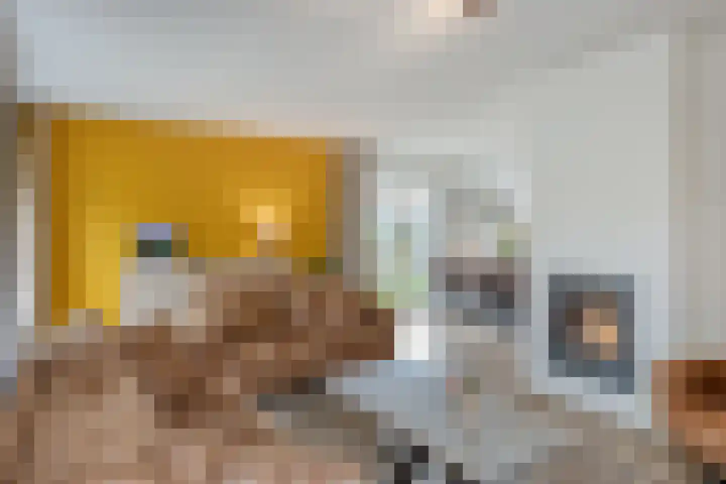 Willem Alexanderlaan 18 Ruurlo thumbnail 10
