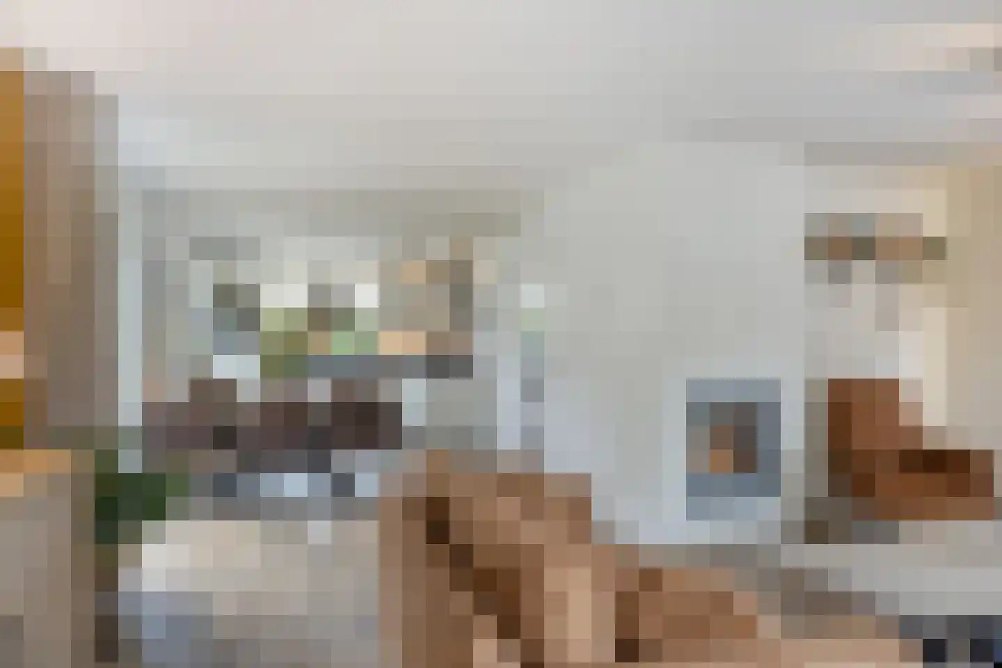 Willem Alexanderlaan 18 Ruurlo thumbnail 11
