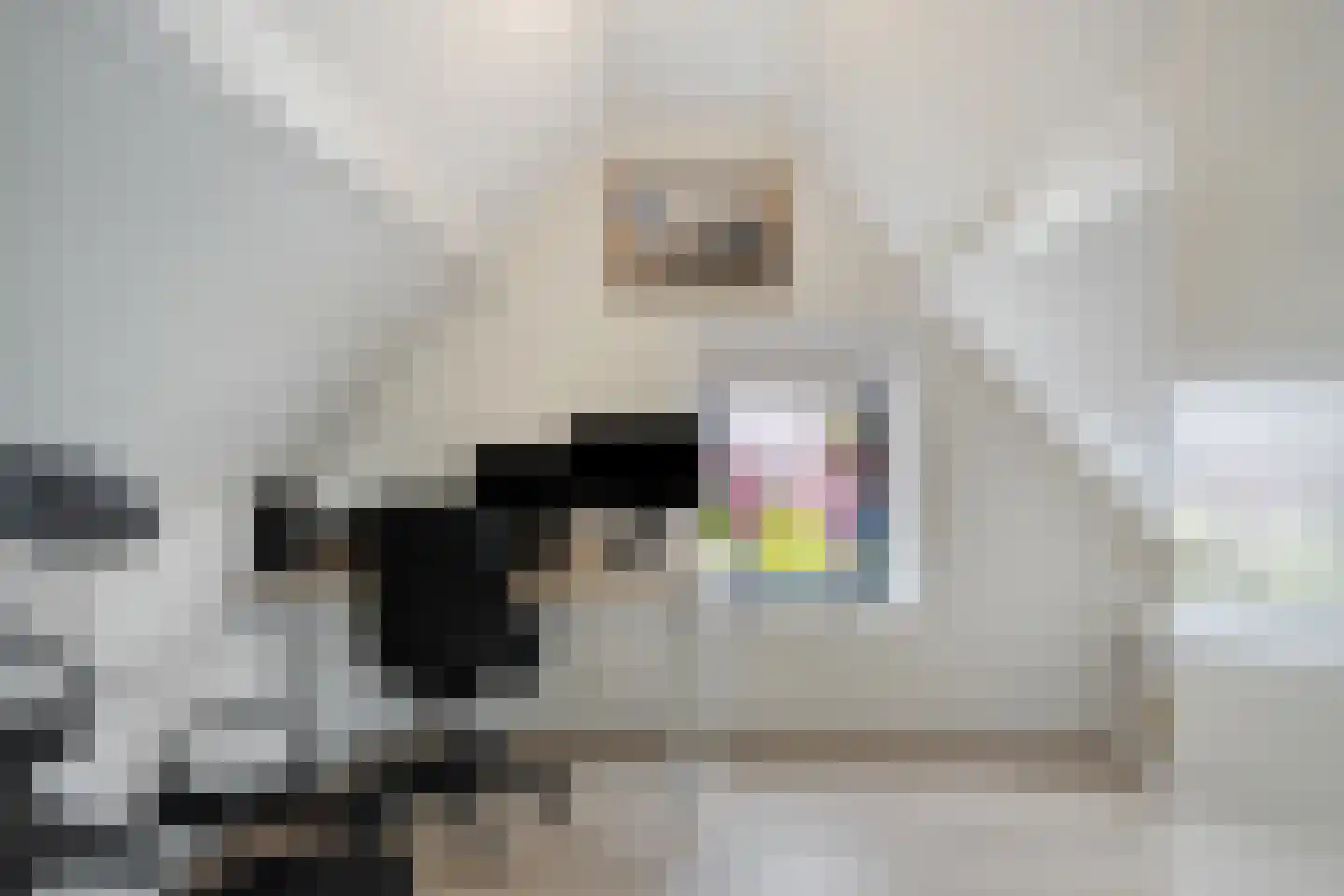 Willem Alexanderlaan 18 Ruurlo thumbnail 28