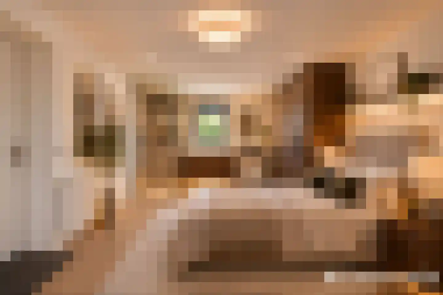Willem Alexanderlaan 18 Ruurlo thumbnail 30