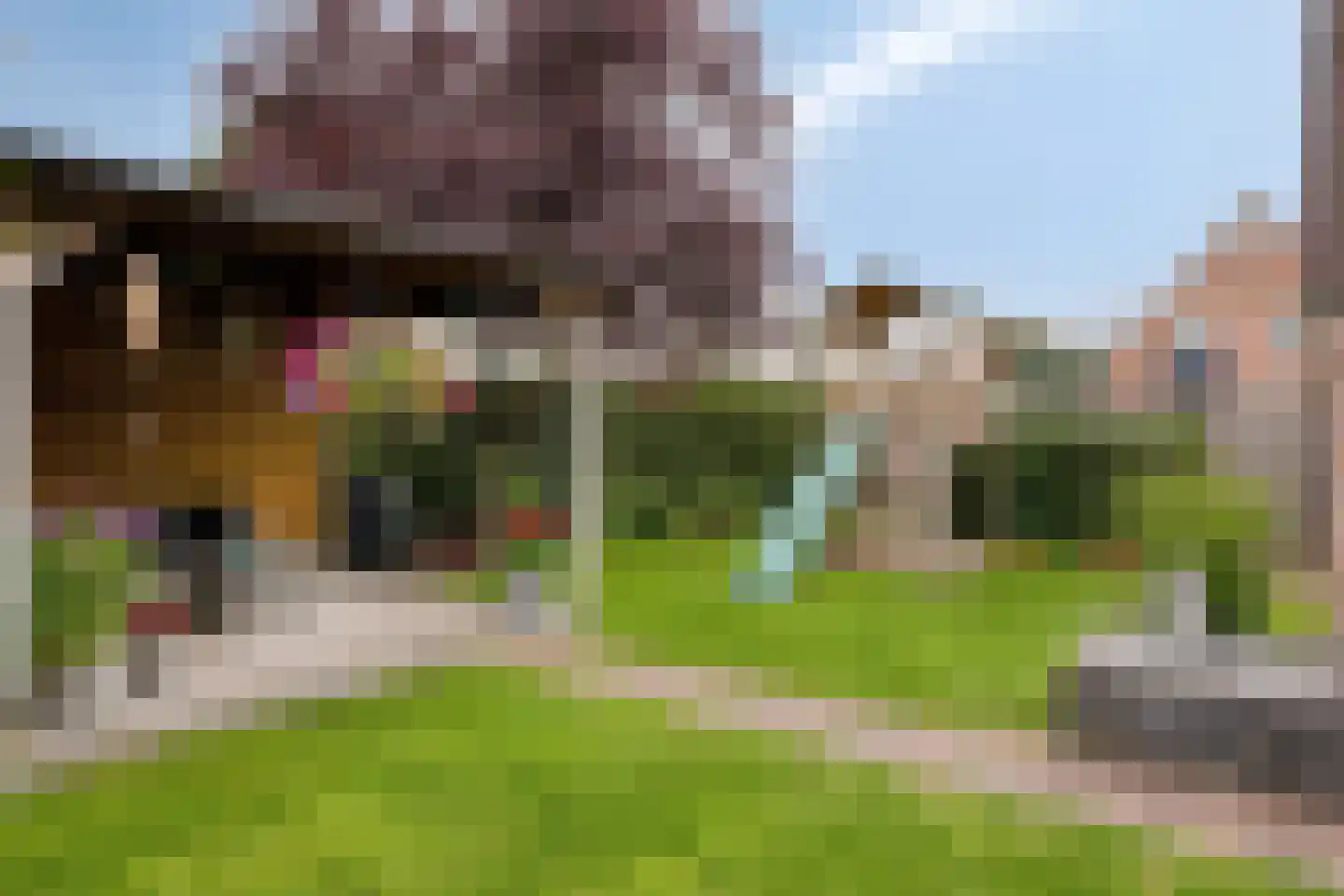 Willem Alexanderlaan 18 Ruurlo thumbnail 34
