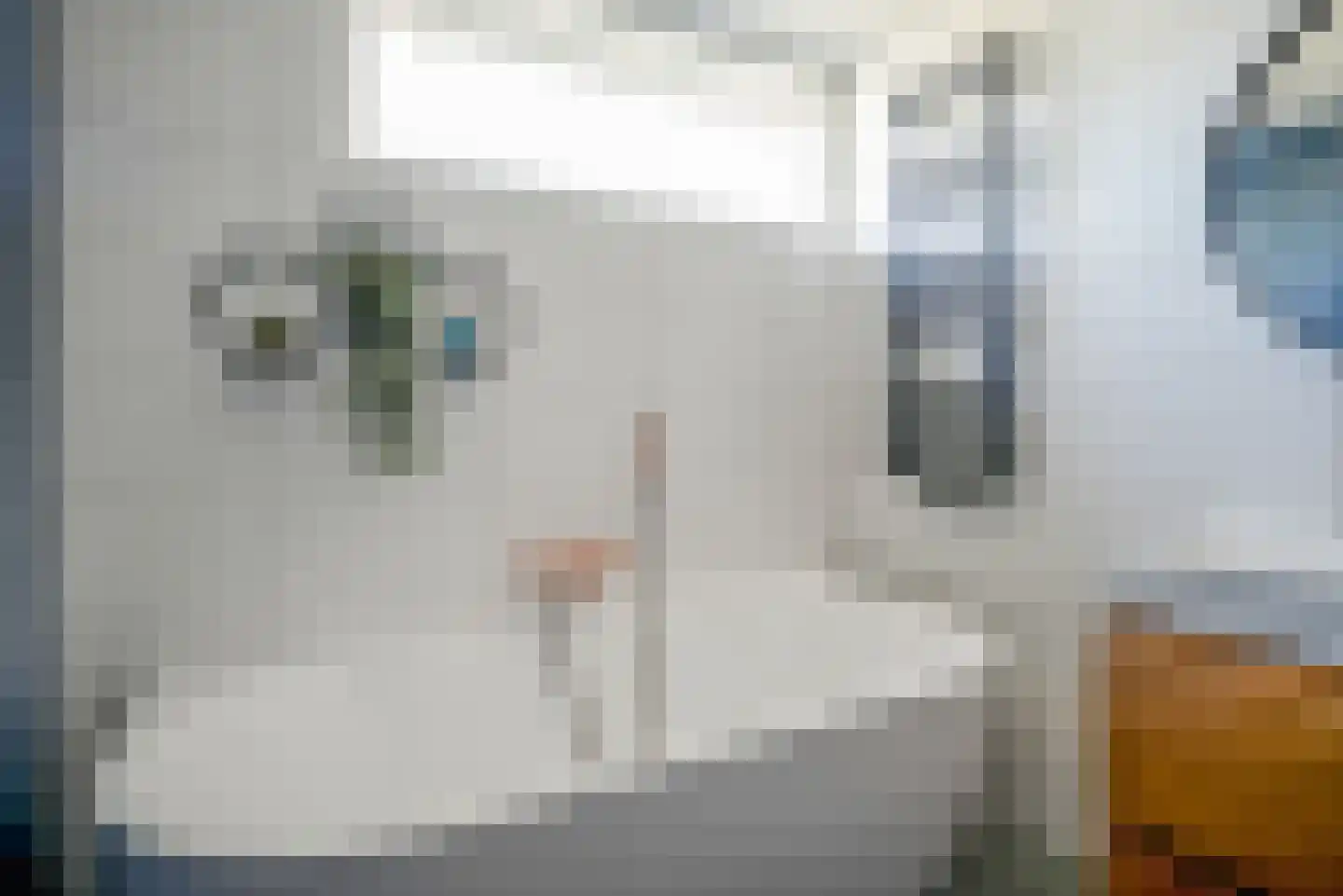 Willem-Alexanderlaan 22 Berkel en Rodenrijs thumbnail 27