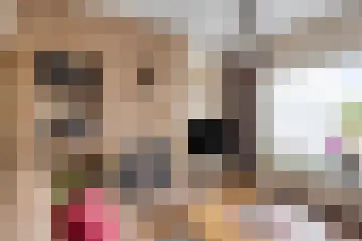 Willem-Alexanderlaan 31 Haps thumbnail 10