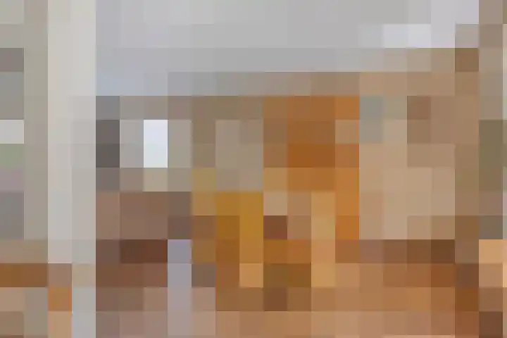 Willem-Alexanderlaan 31 Haps thumbnail 18