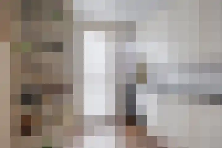 Willem-Alexanderlaan 31 Haps thumbnail 19