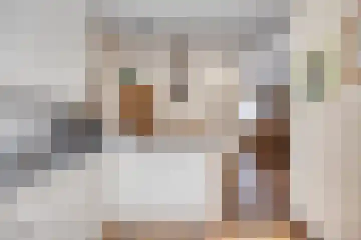 Willem-Alexanderlaan 31 Haps thumbnail 20