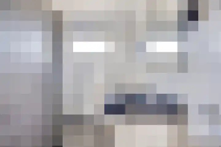 Willem-Alexanderlaan 31 Haps thumbnail 26