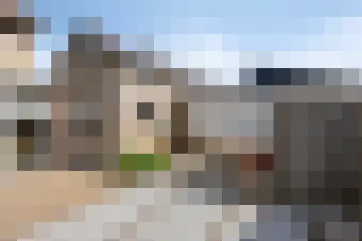 Willem-Alexanderlaan 31 Haps thumbnail 34