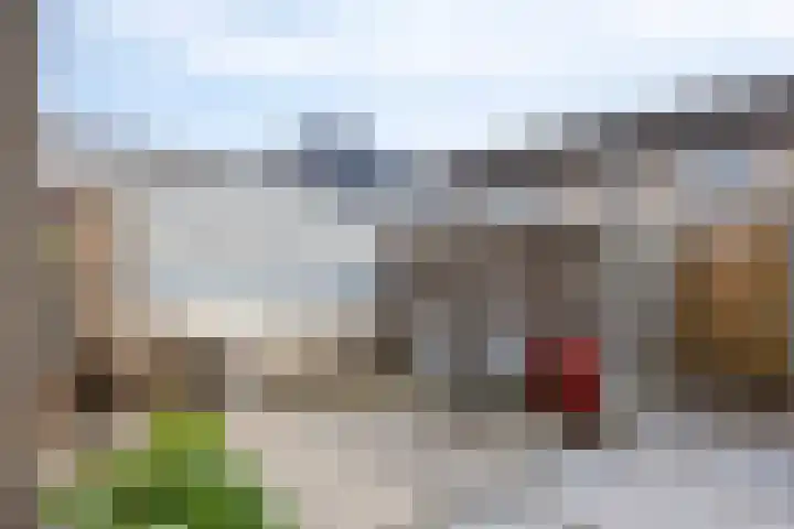 Willem-Alexanderlaan 31 Haps thumbnail 36