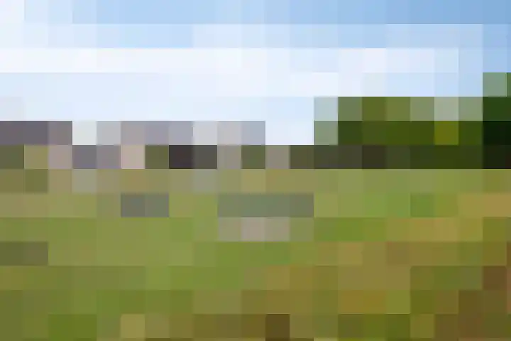 Willem-Alexanderlaan 31 Haps thumbnail 40