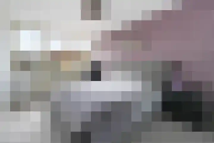 Willem Alexanderlaan 34 Terneuzen thumbnail 20