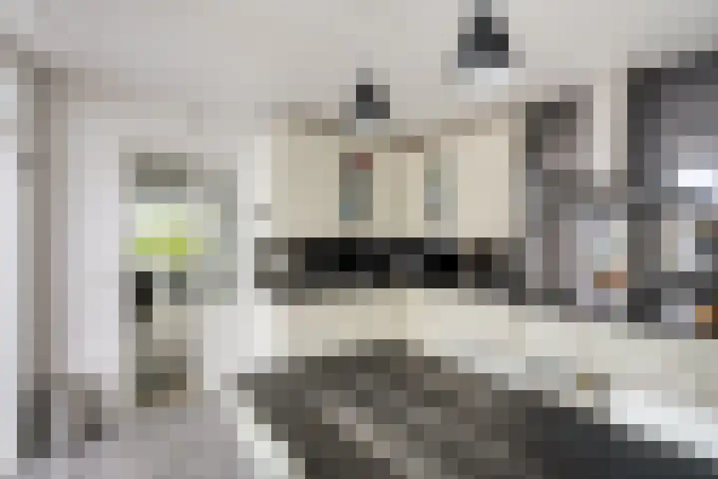 Willem-Alexanderlaan 36 Maarheeze thumbnail 16