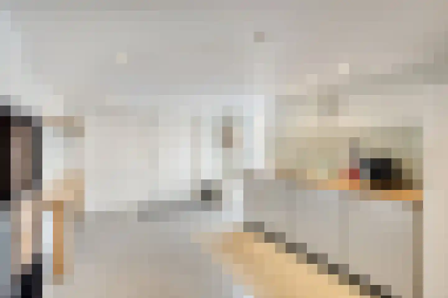 Willem-Alexanderlaan 36 Maarheeze thumbnail 21