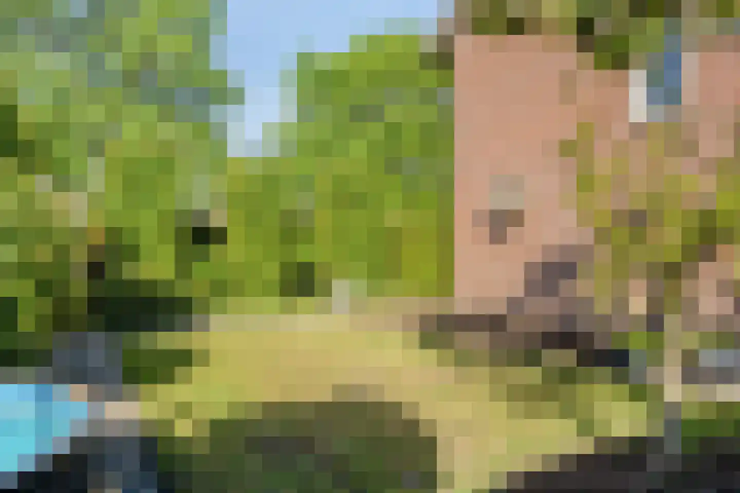 Willem-Alexanderlaan 36 Maarheeze thumbnail 33