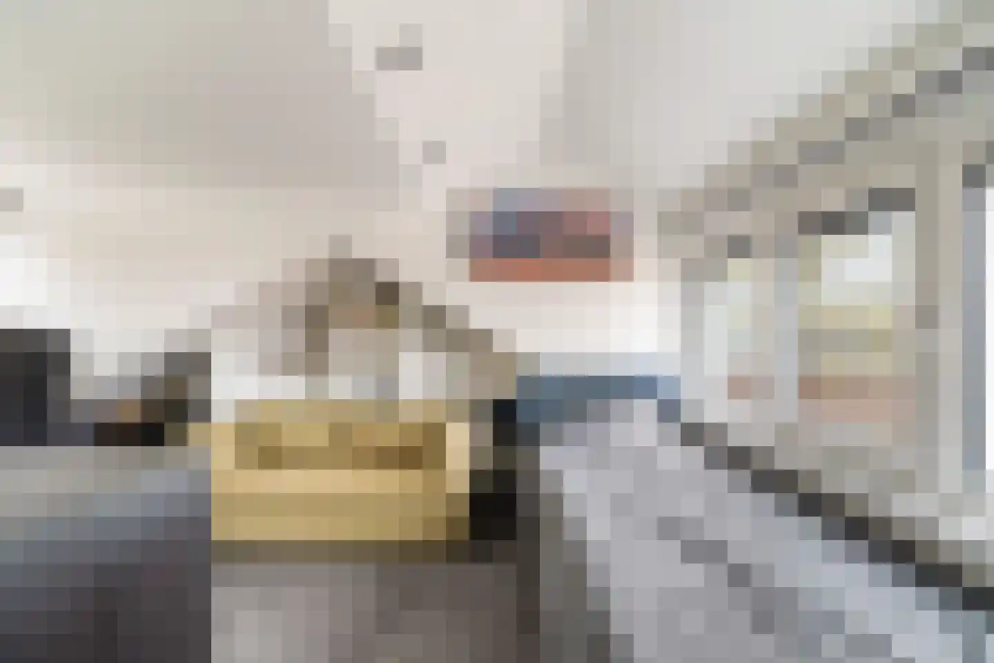 Willem-Alexanderlaan 40 Berkel en Rodenrijs thumbnail 30