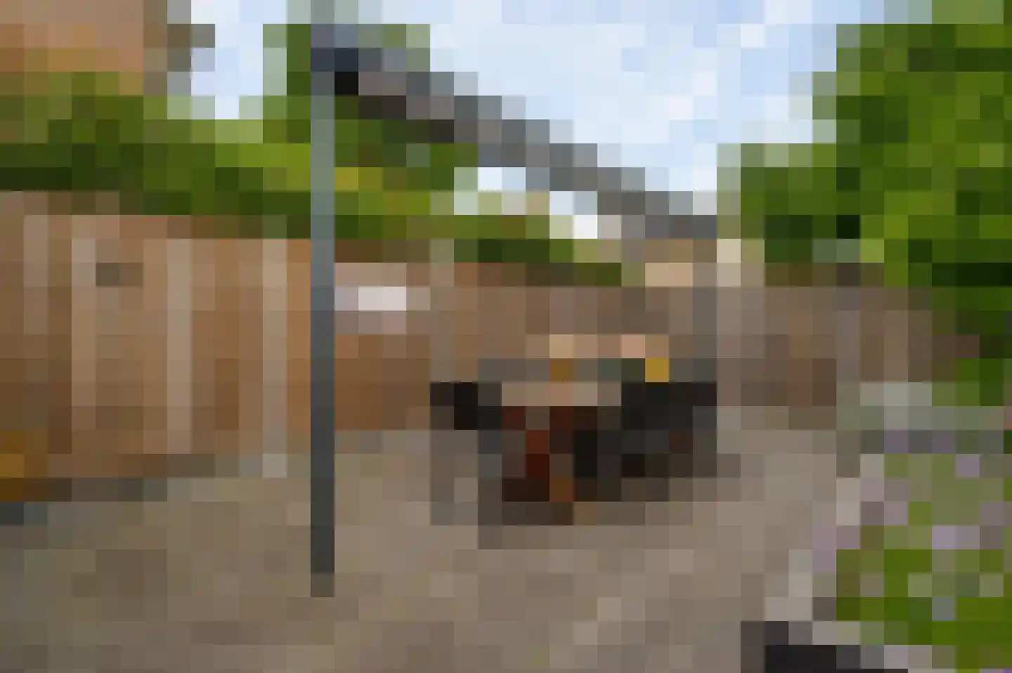 Willem-Alexanderlaan 43 Maarheeze thumbnail 39