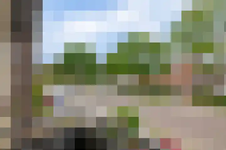 Willem-Alexanderlaan 46 Zevenbergen thumbnail 27