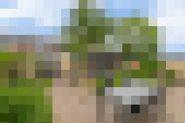Willem-Alexanderlaan 46 Zevenbergen thumbnail 31
