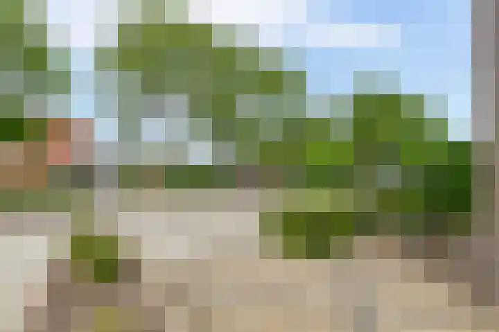 Willem-Alexanderlaan 46 Zevenbergen thumbnail 8
