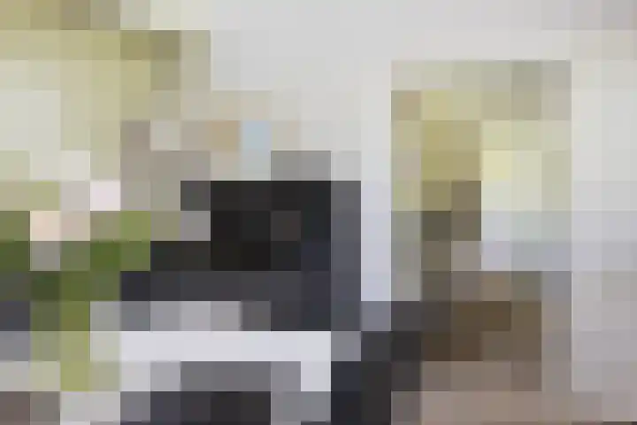 Willem Alexanderlaan 49 Vorden thumbnail 10