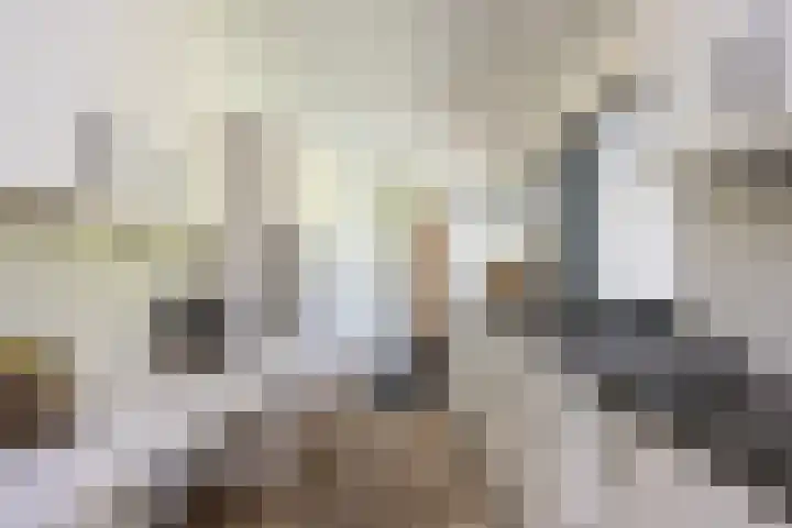 Willem Alexanderlaan 49 Vorden thumbnail 11