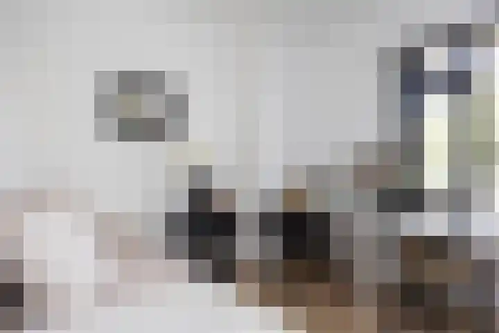 Willem Alexanderlaan 49 Vorden thumbnail 15