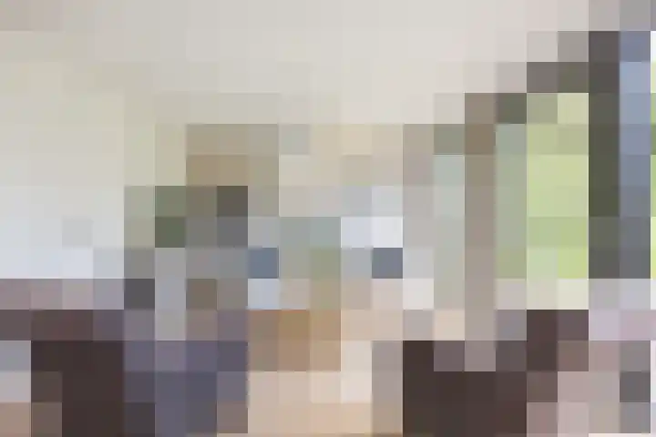 Willem Alexanderlaan 49 Vorden thumbnail 17