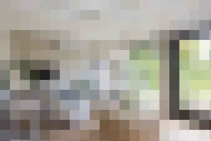 Willem Alexanderlaan 49 Vorden thumbnail 18