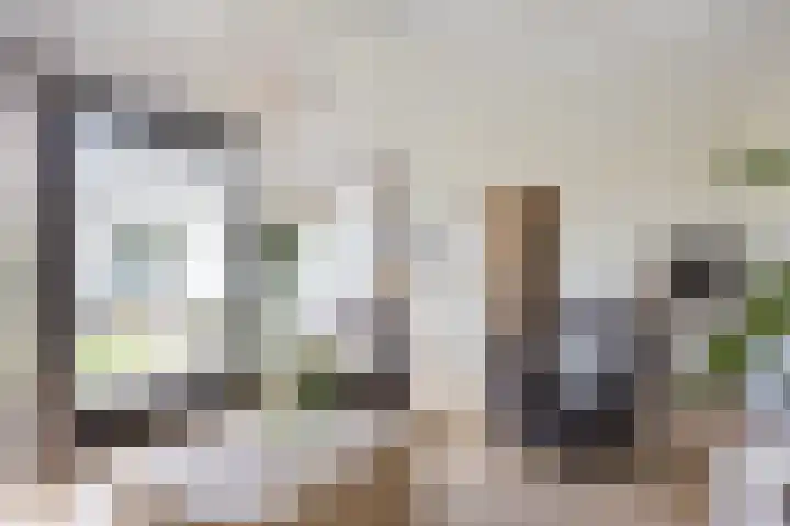 Willem Alexanderlaan 49 Vorden thumbnail 19