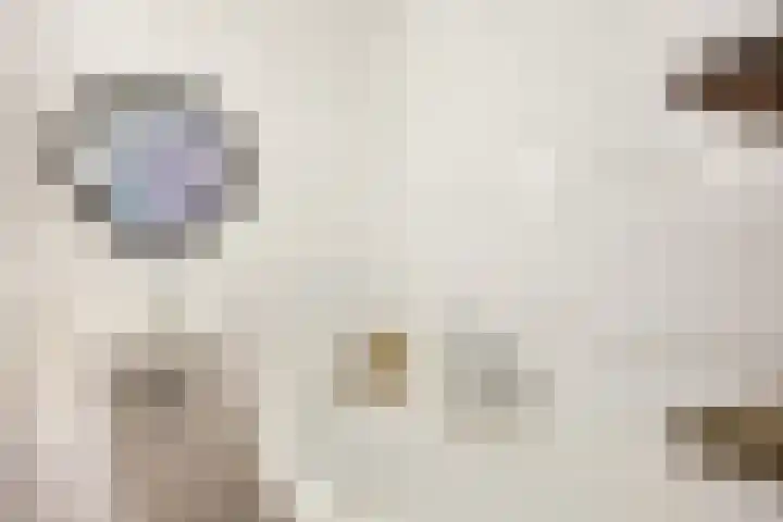 Willem Alexanderlaan 49 Vorden thumbnail 22