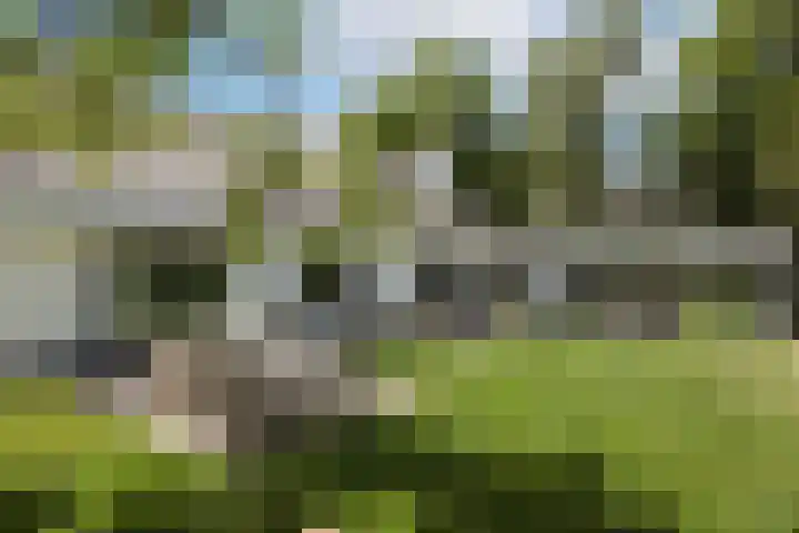 Willem Alexanderlaan 49 Vorden thumbnail 26
