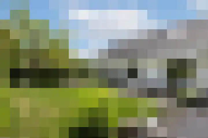 Willem Alexanderlaan 49 Vorden thumbnail 27