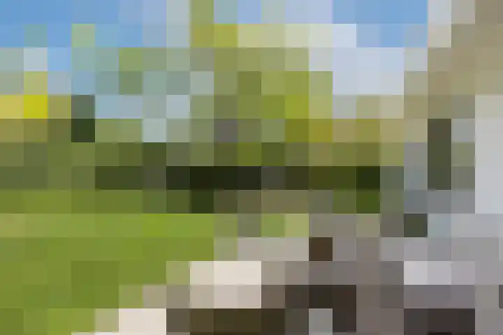 Willem Alexanderlaan 49 Vorden thumbnail 28