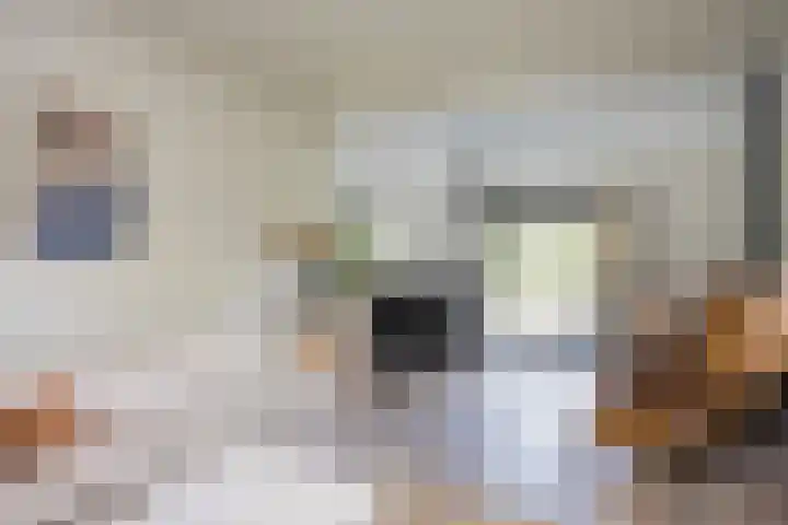 Willem Alexanderlaan 49 Vorden thumbnail 8