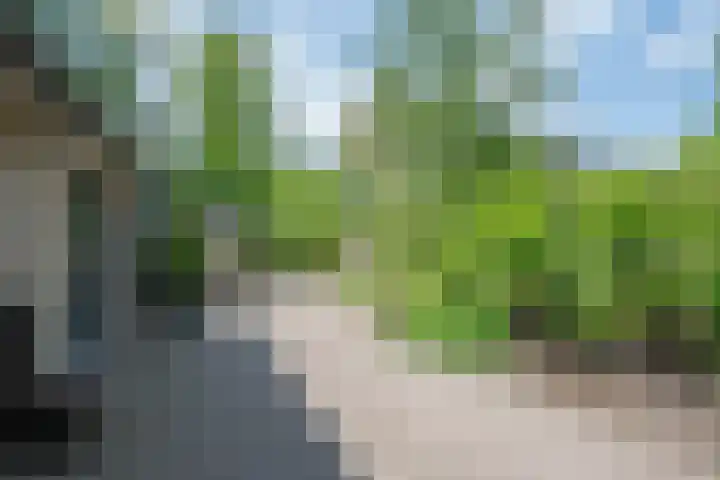 Willem Alexanderlaan 55 Vorden thumbnail 10