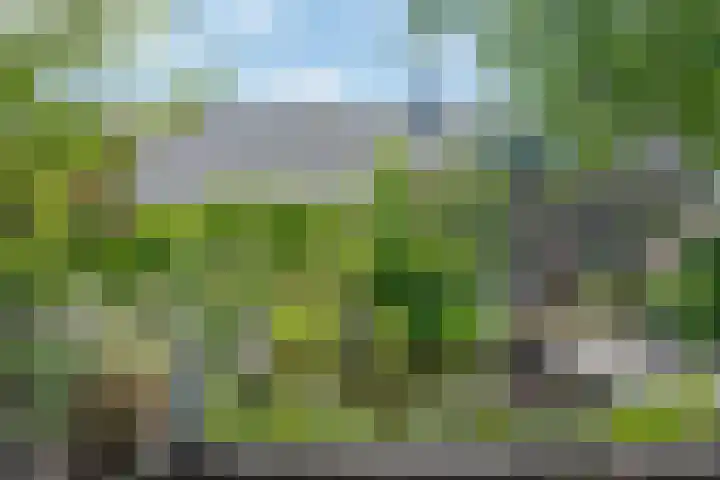 Willem Alexanderlaan 55 Vorden thumbnail 11