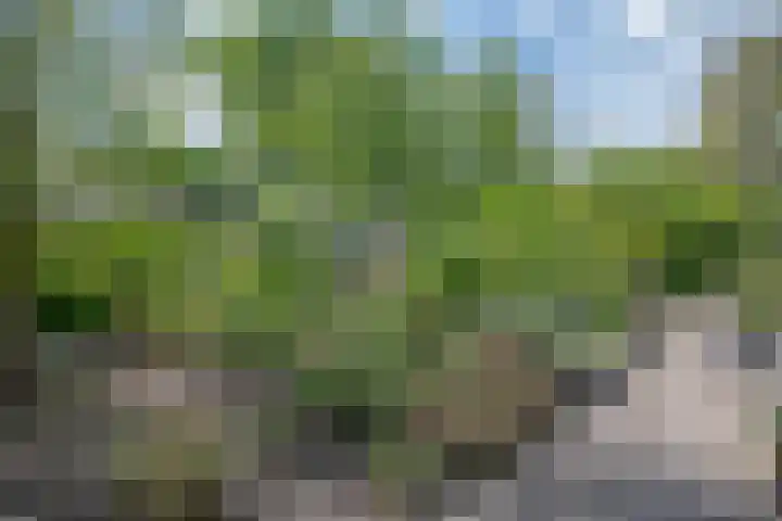 Willem Alexanderlaan 55 Vorden thumbnail 12
