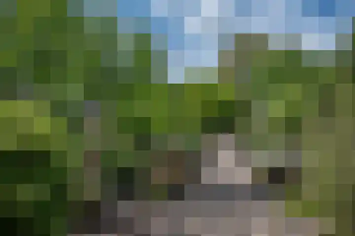 Willem Alexanderlaan 55 Vorden thumbnail 13
