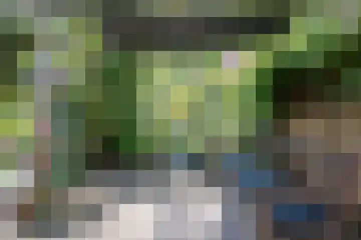 Willem Alexanderlaan 55 Vorden thumbnail 14