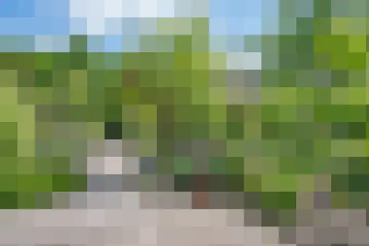 Willem Alexanderlaan 55 Vorden thumbnail 15