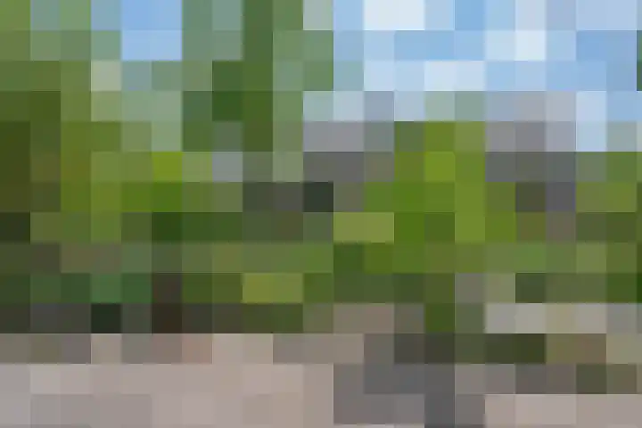 Willem Alexanderlaan 55 Vorden thumbnail 16