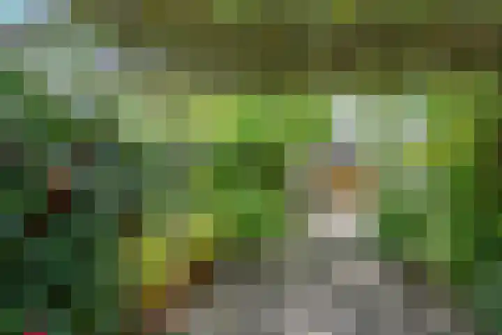 Willem Alexanderlaan 55 Vorden thumbnail 17