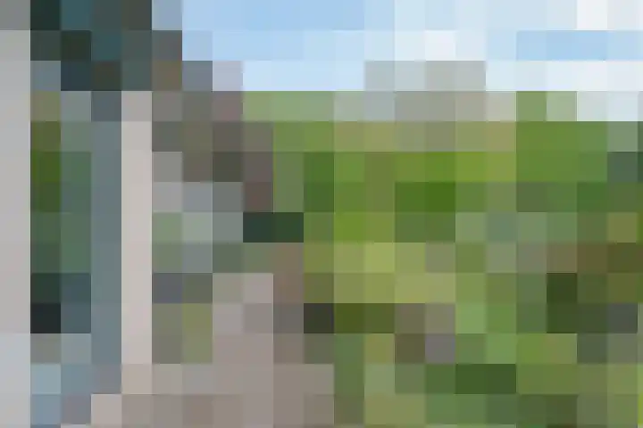 Willem Alexanderlaan 55 Vorden thumbnail 19