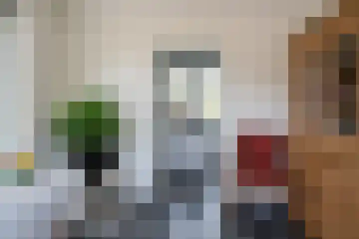 Willem Alexanderlaan 55 Vorden thumbnail 33