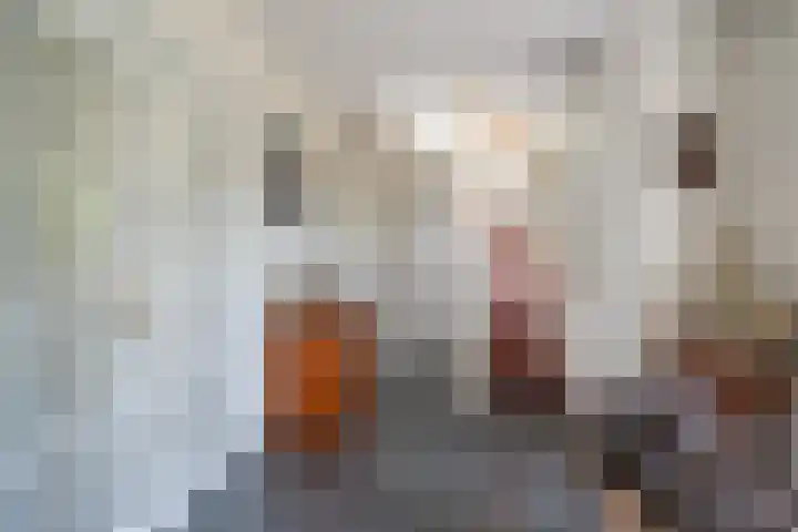 Willem Alexanderlaan 55 Vorden thumbnail 35