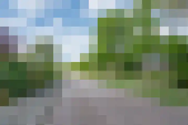 Willem Alexanderlaan 55 Vorden thumbnail 47