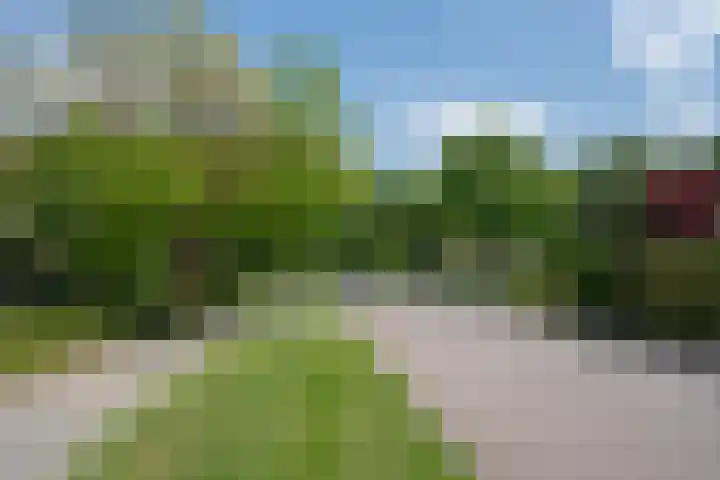 Willem Alexanderlaan 55 Vorden thumbnail 48