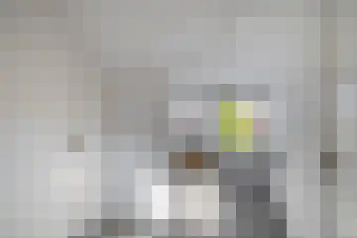 Willem-Alexanderlaan 56 Zevenbergen thumbnail 31